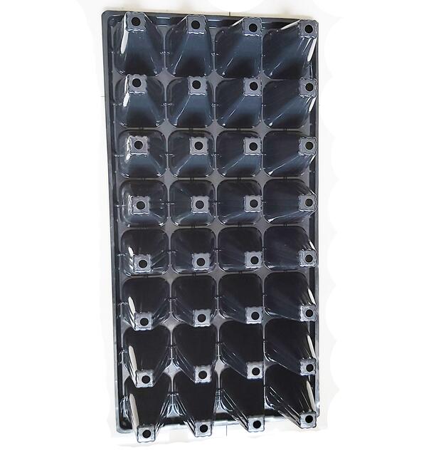 32 cells deep forest tree seedling tray