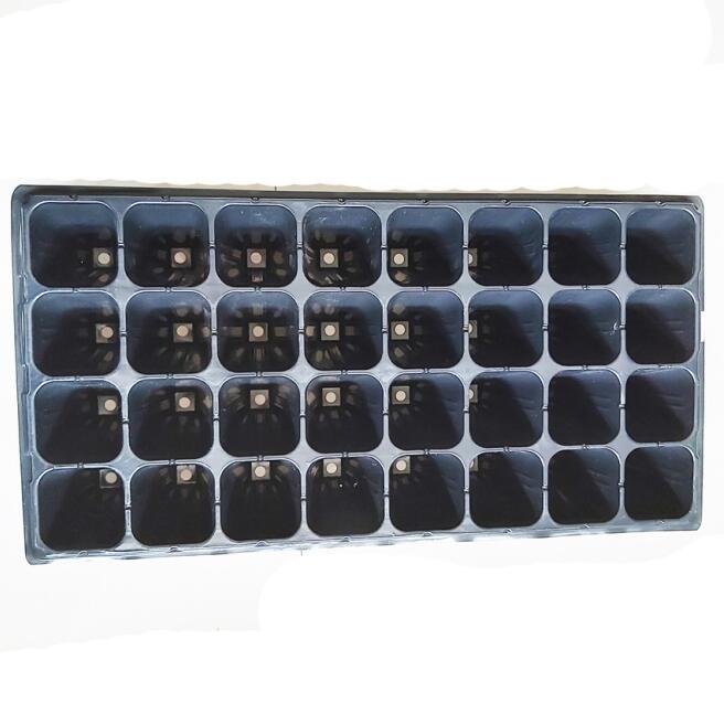 32 cells deep forest tree seedling tray