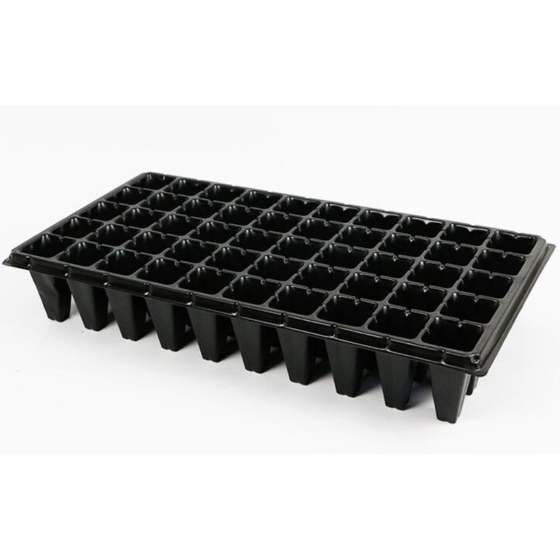 50 cells strawberry deep seedling tray