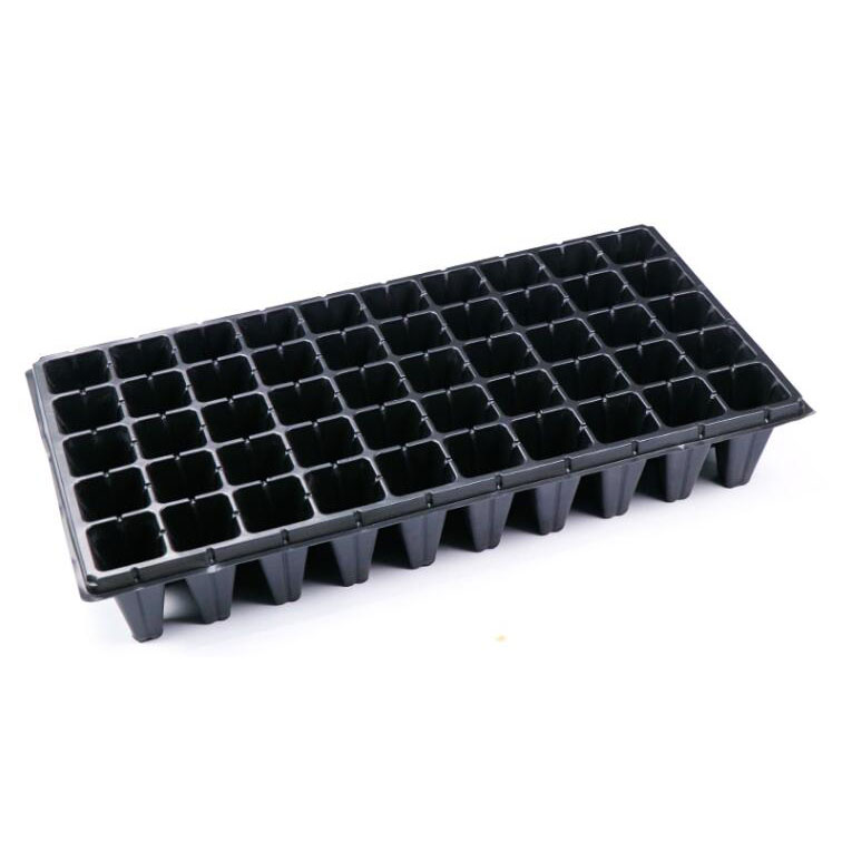 50 cells strawberry deep seedling tray